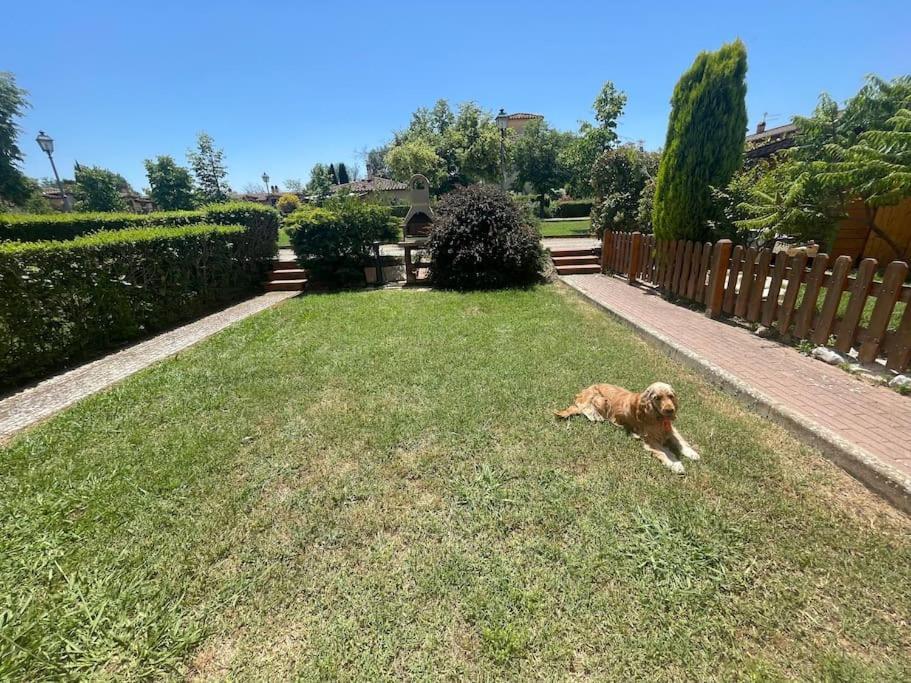 Casa Vacanza Villaggio Poggio Rosso Arezzo Eksteriør bilde